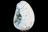Crystal Filled Celestine (Celestite) Egg Geode - Large Crystals! #88280-2